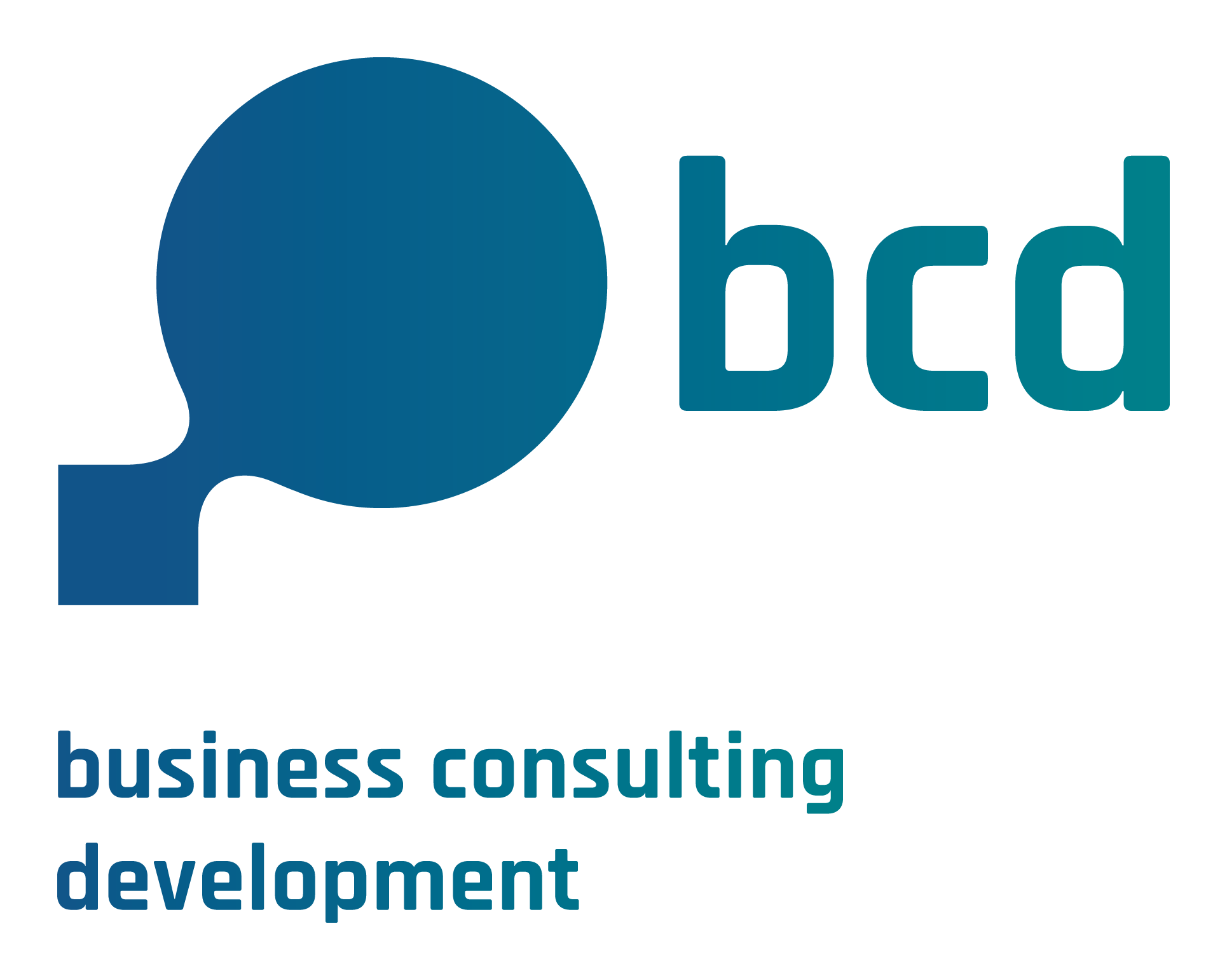 bcd business consulting development