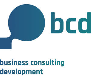 bcd – business consulting development Logo